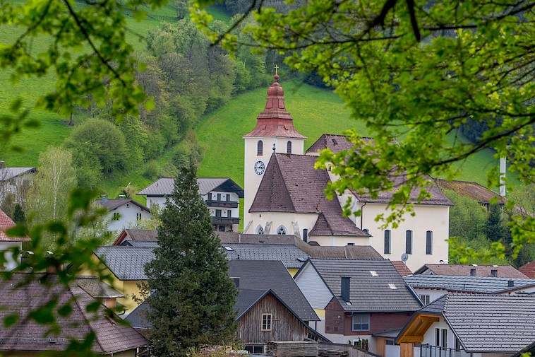 Blick aus dem Wald über die Häuser auf die Kirche in Frankenfels