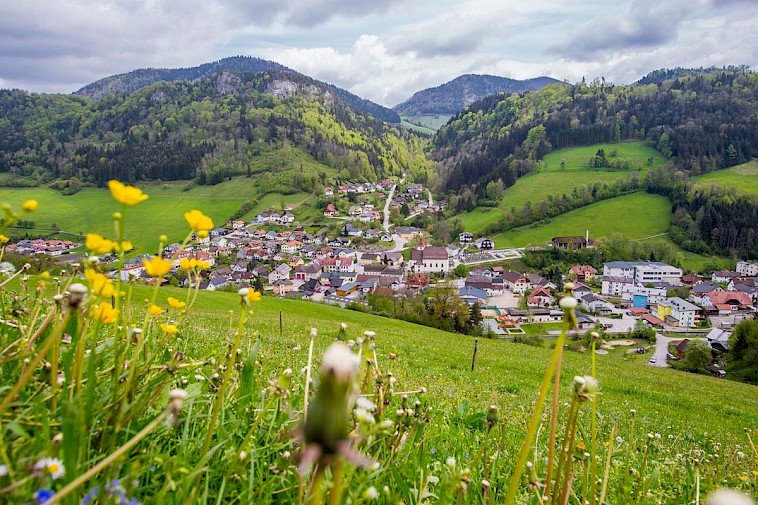 Panoramablick auf den Ort von einer Wiese über Frankenfels