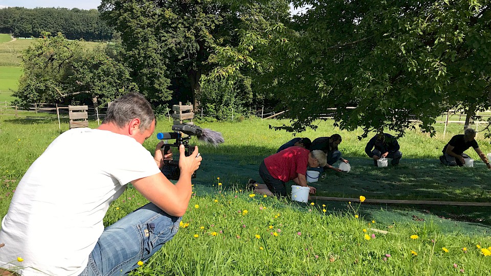 Zukunft am Bauernhof