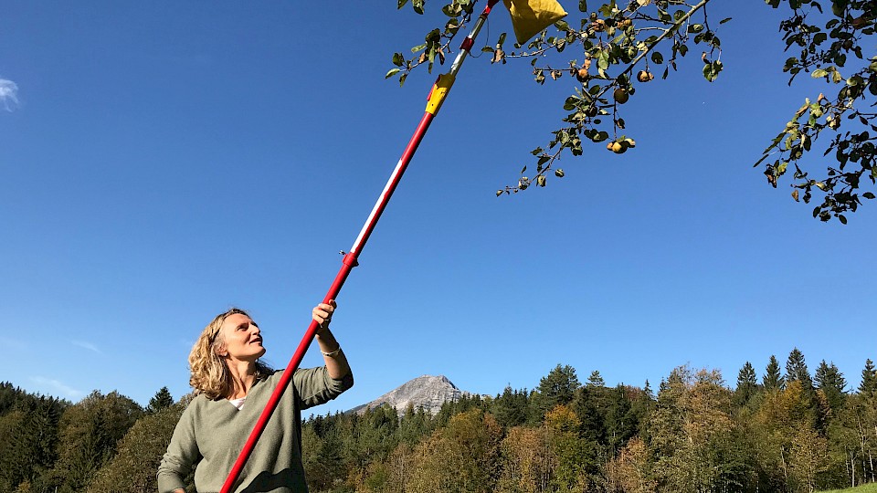 Die Früchte der Frauen