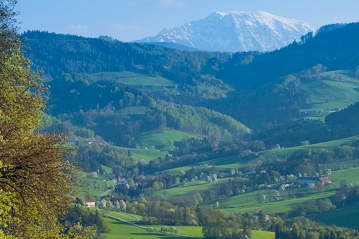 *LEADER Region Mostviertel-Mitte